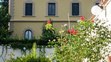 Blick auf den Garten