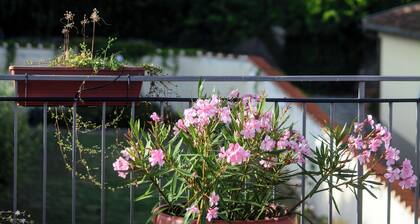 Villa Gelsomino Garden