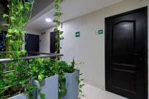 A hallway with a black door, a green emergency exit sign, and a plant in a blue planter. - Hotel Avexi Suites By Geh Suites (Cartagena)