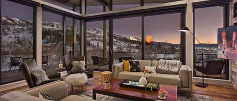 TV, fireplace, stereo, offices