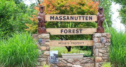 A Cozy Bear Cottage! Hot Tub! Wifi! Escape!