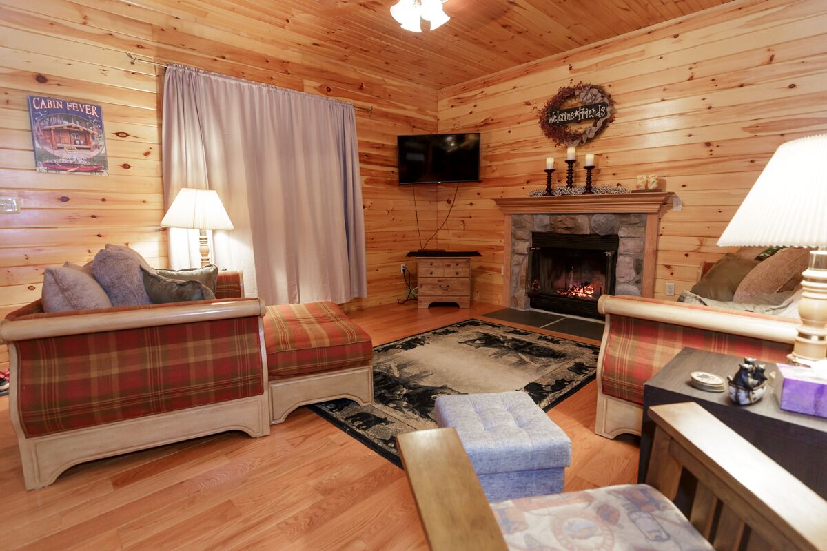 智能電視、壁爐、書籍