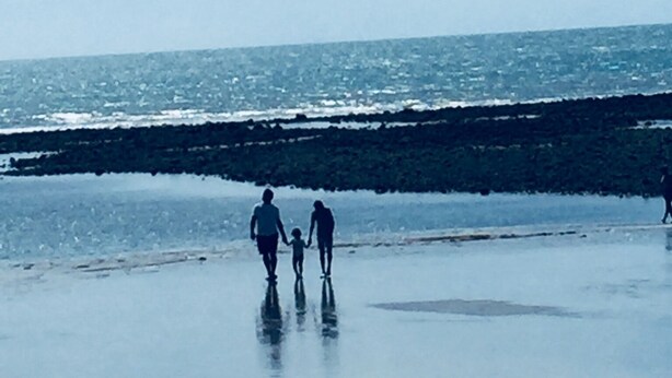 Une scène de plage avec une mer calme et un ciel dégagé.