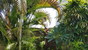A well-maintained garden with various tropical plants, a neatly trimmed lawn, and a stone pathway. - Kartika Villas (Buleleng)