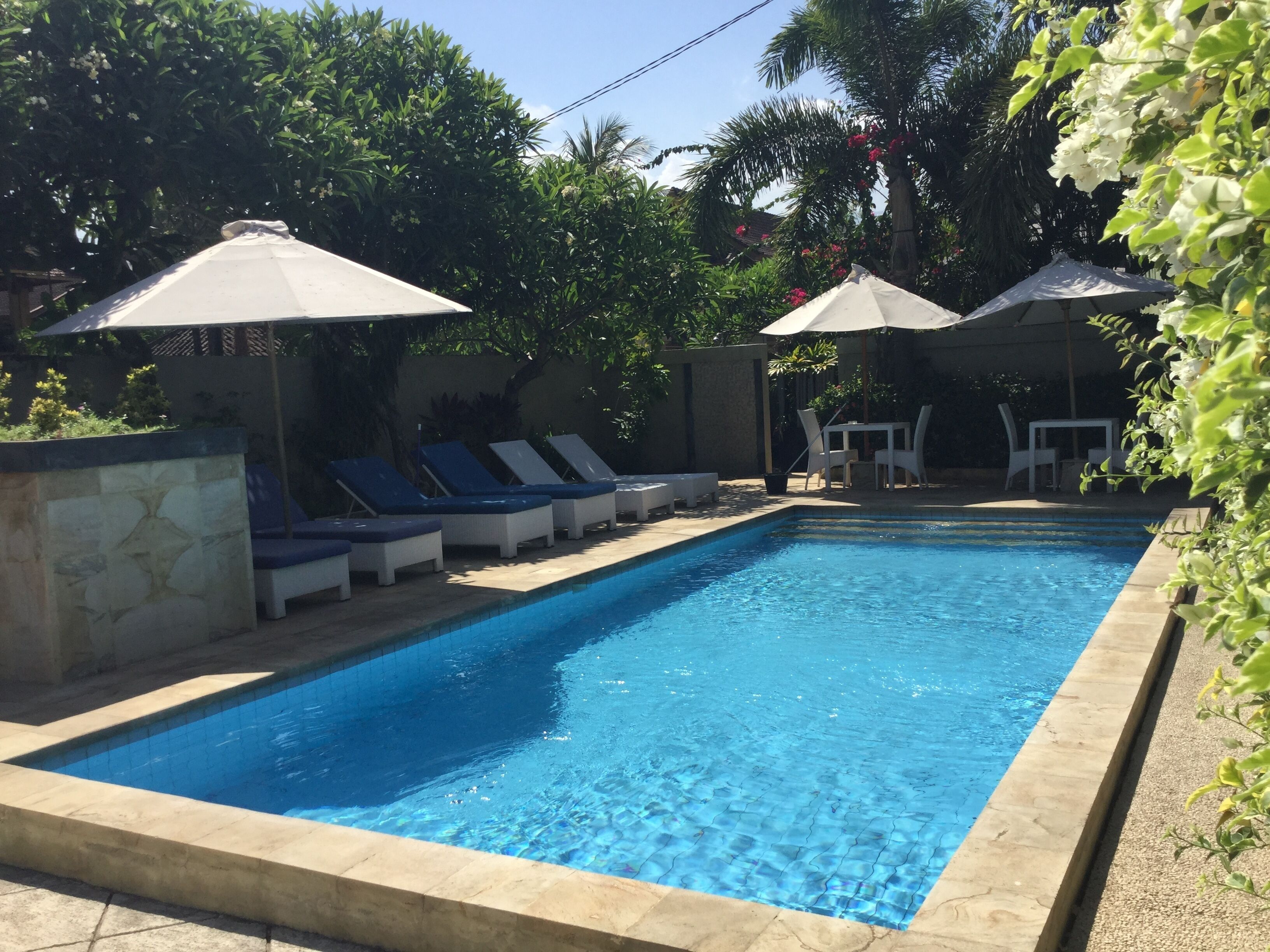 Outdoor pool, sun loungers