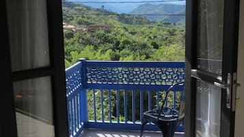 Habitación doble Elite, balcón, vista a la montaña | Vista desde la habitación