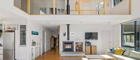 TV, fireplace, books