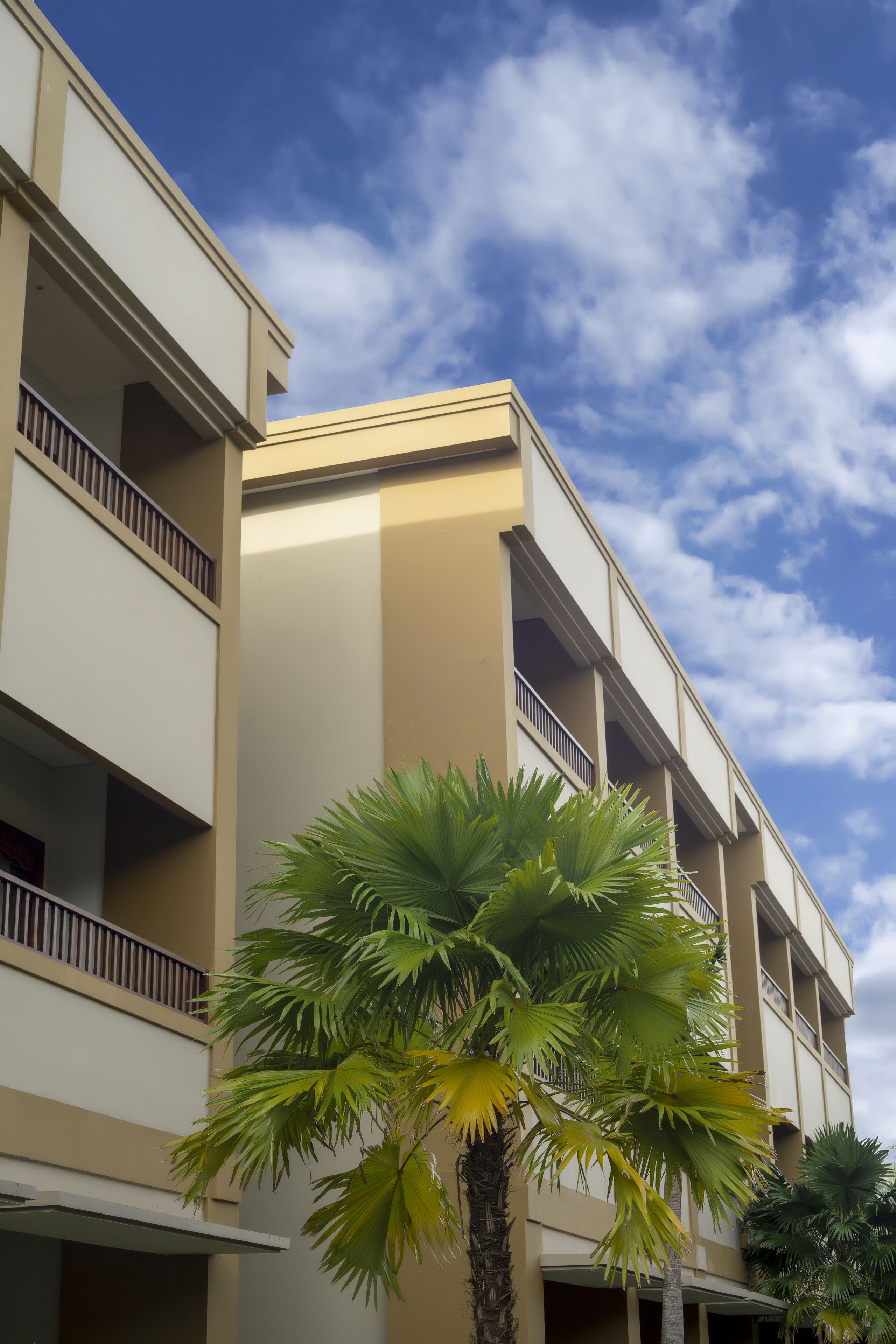 A multi-story building with balconies and a palm tree in the foreground.