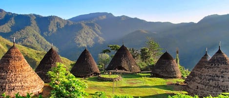 Thatched-roof huts in a rural setting with a mountainous backdrop.
