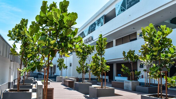 A modern building with a courtyard featuring neatly arranged planters with trees and benches. - Urban Inn Alor Setar (Alor Setar)