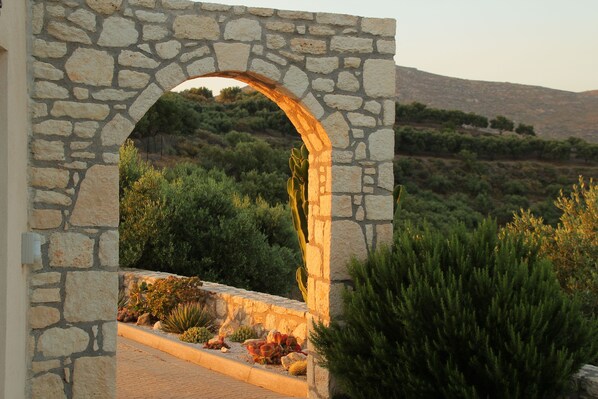 Terrain de l’hébergement 