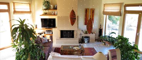 Smart TV, fireplace, DVD player, books