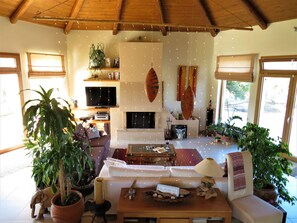Smart TV, fireplace, DVD player, books