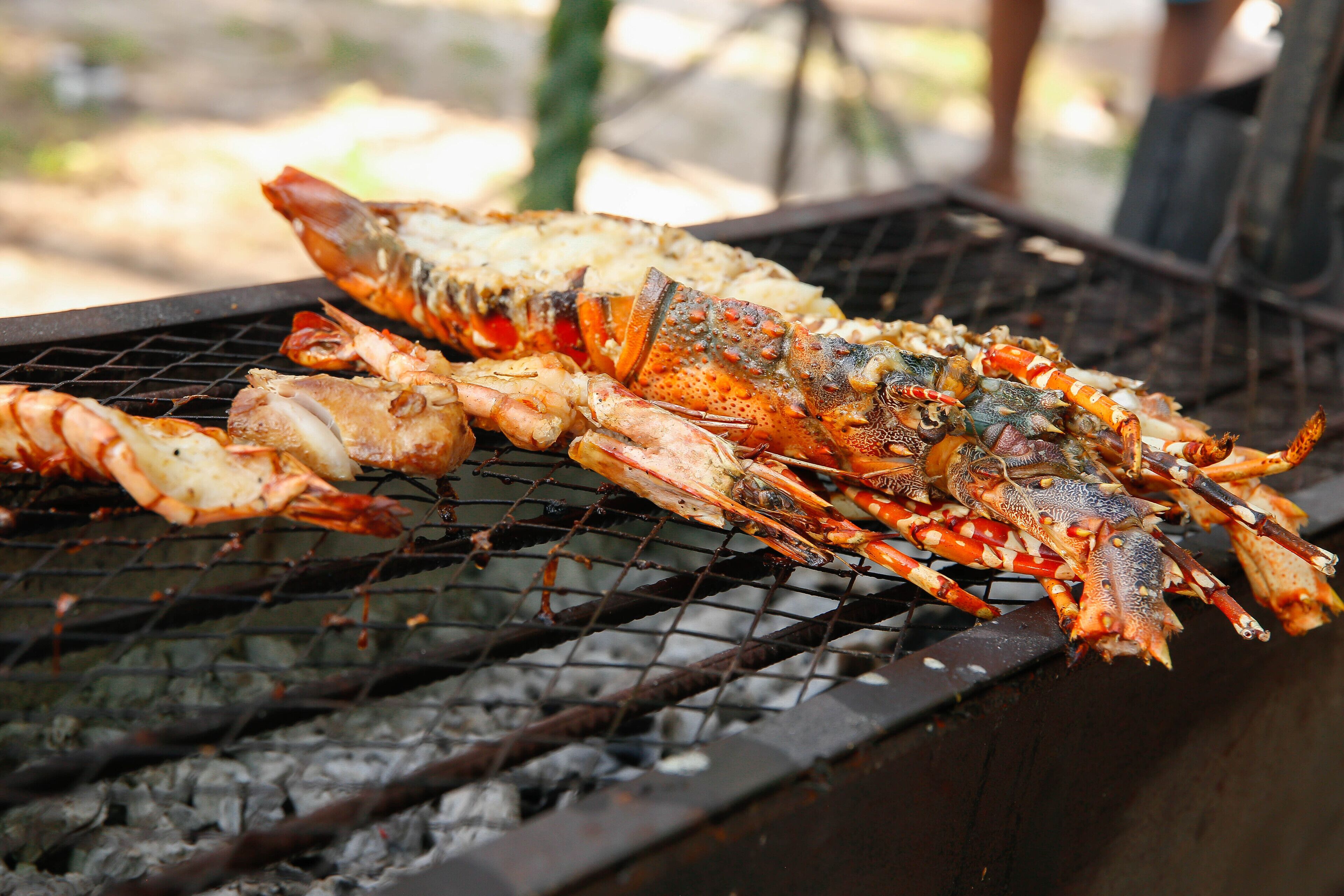A lobster grilling on an outdoor grill.
