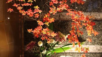 Àrea exterior de l'allotjament