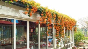 Un edificio con grandes ventanales y un balcón cubierto de flores naranjas.