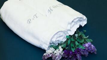 Double Room | Bathroom amenities | Shower, hair dryer, towels, soap