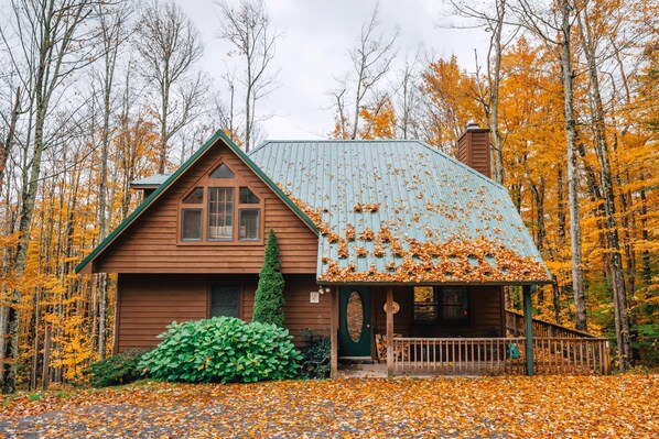 Une cabane avec une porte verte, une véranda et une cheminée.