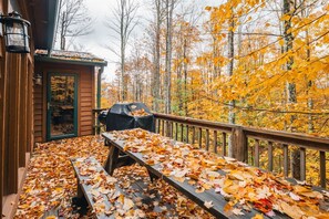 Een houten terras met een tafel en stoelen, omringd door herfstbladeren, en uitzicht op een bos.