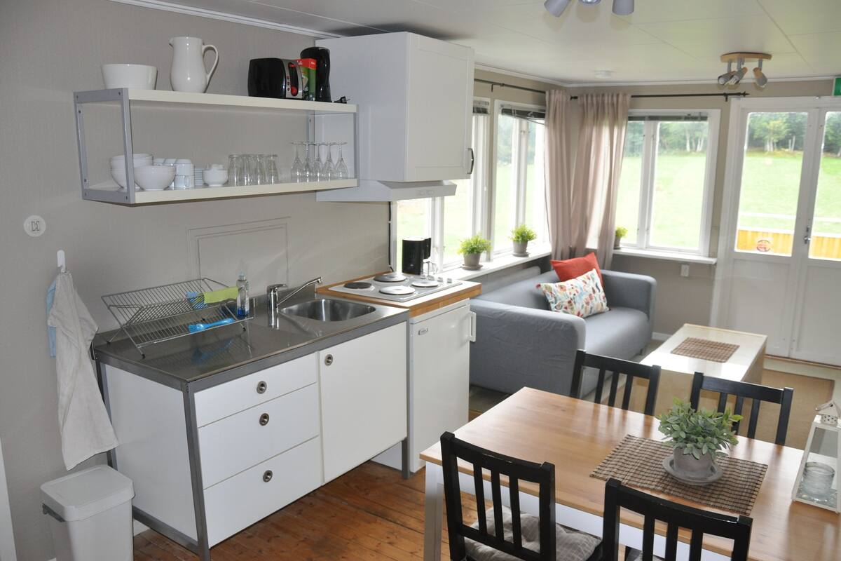 family apartment (linné) | private kitchen | fridge, microwave, stovetop, cookware/dishes/utensils