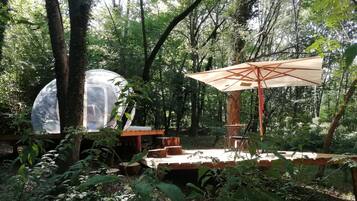 A transparent dome structure in a forested area with a wooden deck and an umbrella.