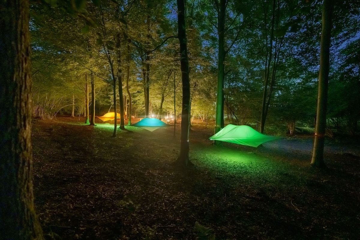 Tent, 3 Twin Beds | 1 bedroom, wheelchair access