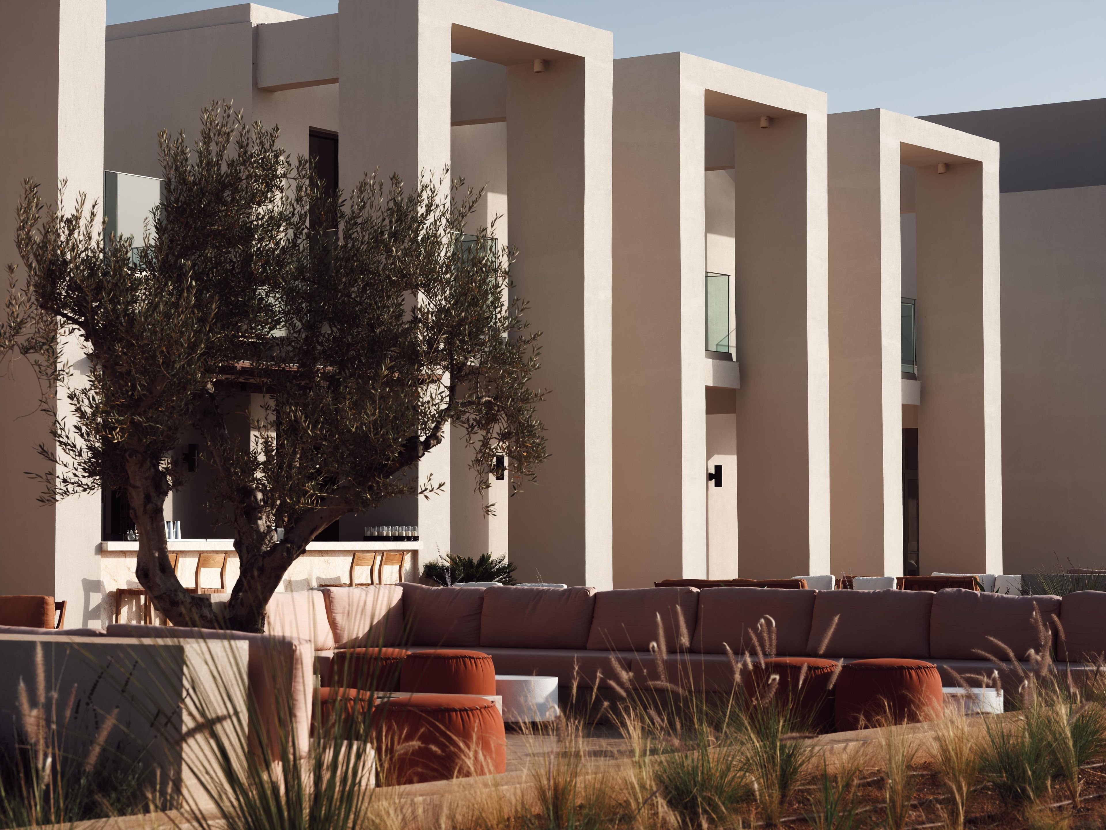 A modern outdoor seating area with sofas and a tree, surrounded by a building with large windows and a balcony.