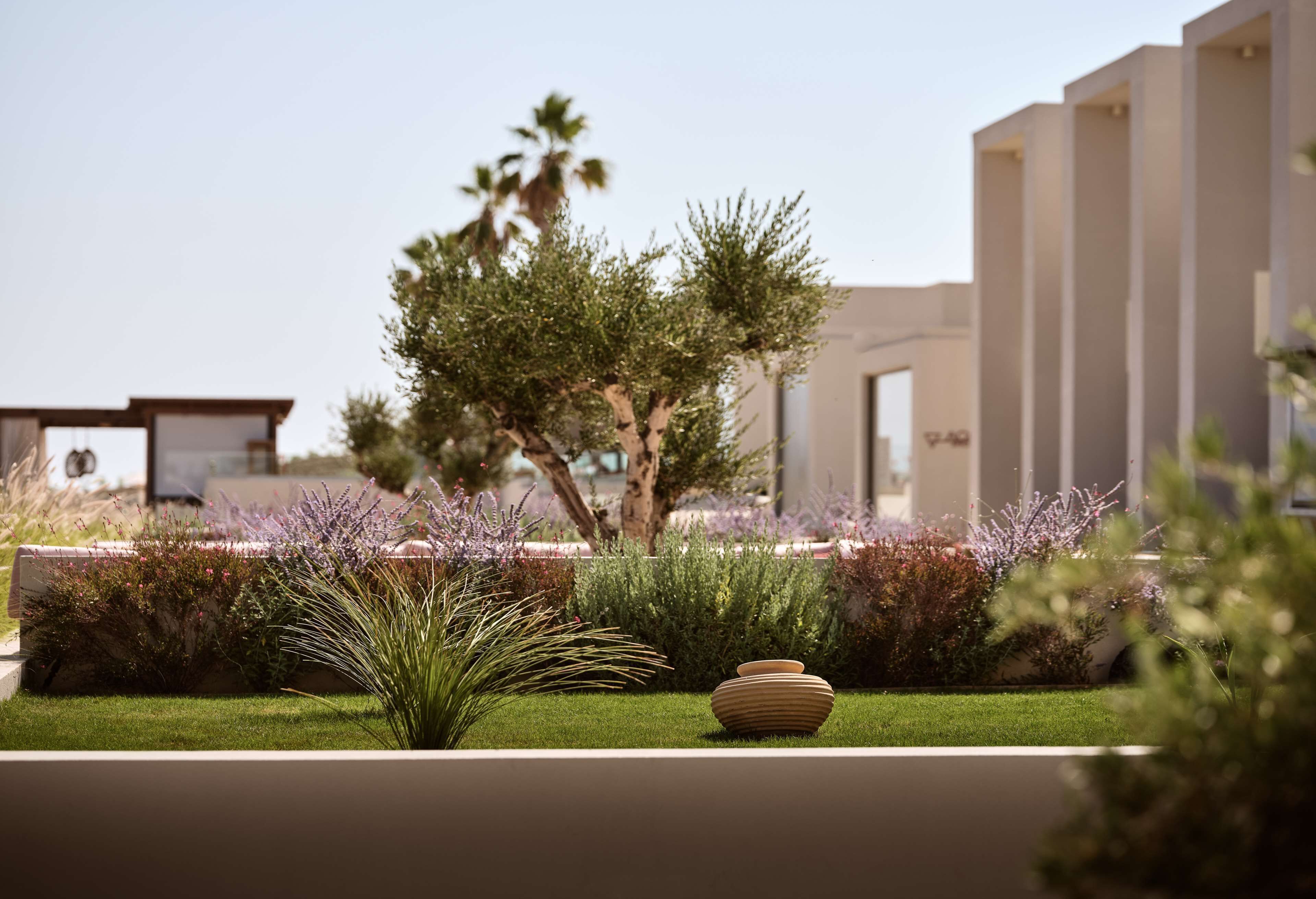 3 bars/lounges, beach bar