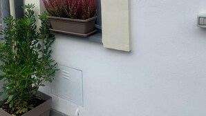 A building exterior with a window, a potted plant, and a utility box.