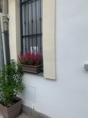 Exterior view of a building with a window, potted plants, and a utility box.