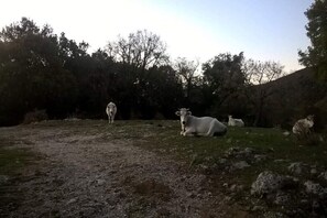 المنطقة المحيطة بالمنشأة