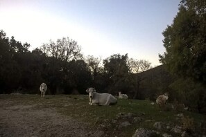 المنطقة المحيطة بالمنشأة