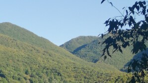 Eine gebirgige Landschaft mit üppiger Vegetation und einigen Gebäuden im Tal.