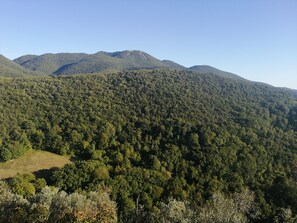 Nicht klassifiziertes Bild, 3 von 8, Schaltfläche