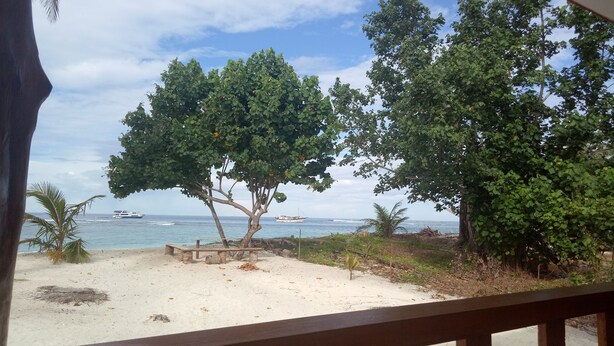 Una playa con un banco de madera, árboles y barcos al fondo.