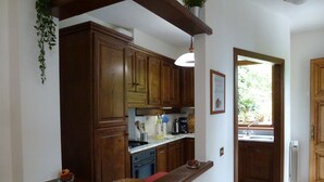 Une cuisine avec des meubles en bois, un plan de travail, une plante suspendue et une fenêtre donnant sur un paysage verdoyant.
