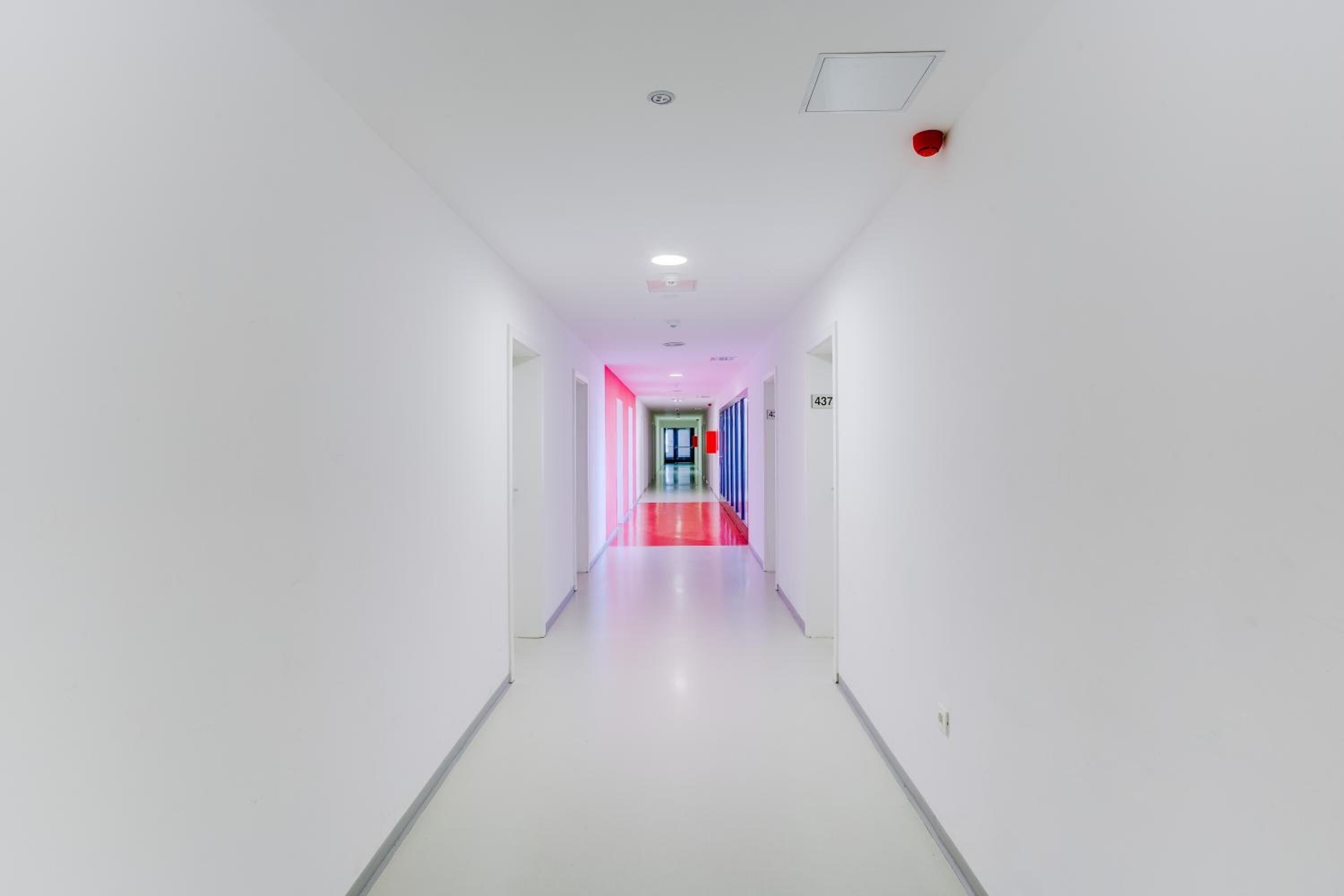 Un pasillo largo y estrecho con paredes blancas y una alfombra roja que conduce a una puerta con el número 437.