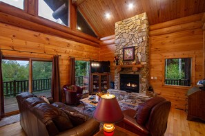 Televisión, chimenea, reproductor de DVD