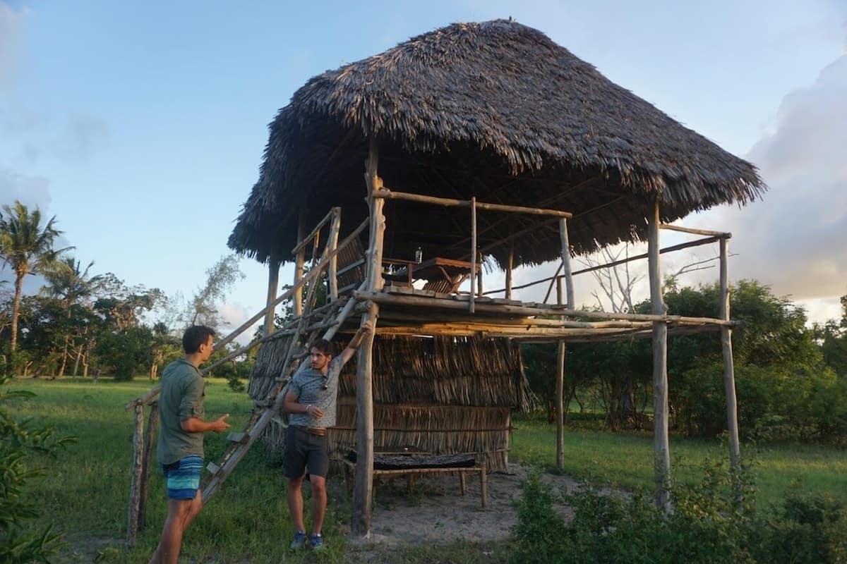 A thatched-roof structure with a wooden frame, surrounded by greenery.