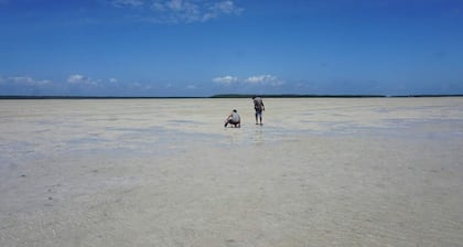Mida Creek Nature Camp