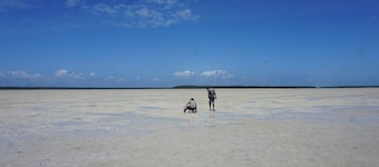 Mida Creek Nature Camp