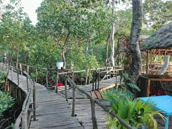 Outdoor dining - Mida Creek Nature Camp (Watamu)