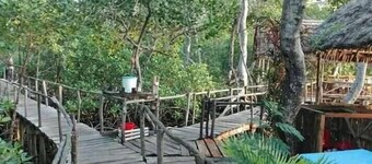 Mida Creek Nature Camp