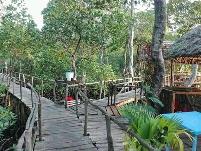 Mida Creek Nature Camp