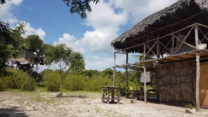 Property grounds - Mida Creek Nature Camp (Watamu)