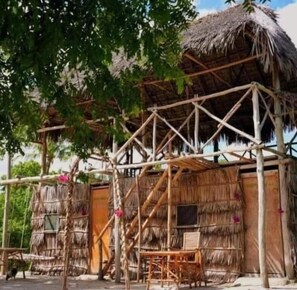 A thatched-roof structure with a wooden framework, surrounded by trees. - Mida Creek Nature Camp (Watamu)
