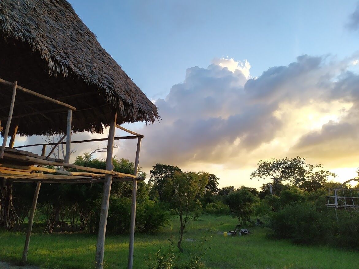 Una estructura de techo de paja con entramado de madera, rodeada de vegetación y árboles, bajo un cielo parcialmente nublado.