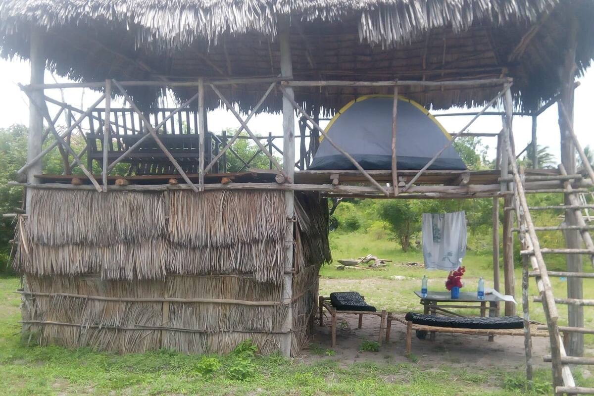 A rustic hut with a thatched roof and a wooden structure above.