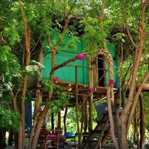 Property grounds - Mida Creek Nature Camp (Watamu)