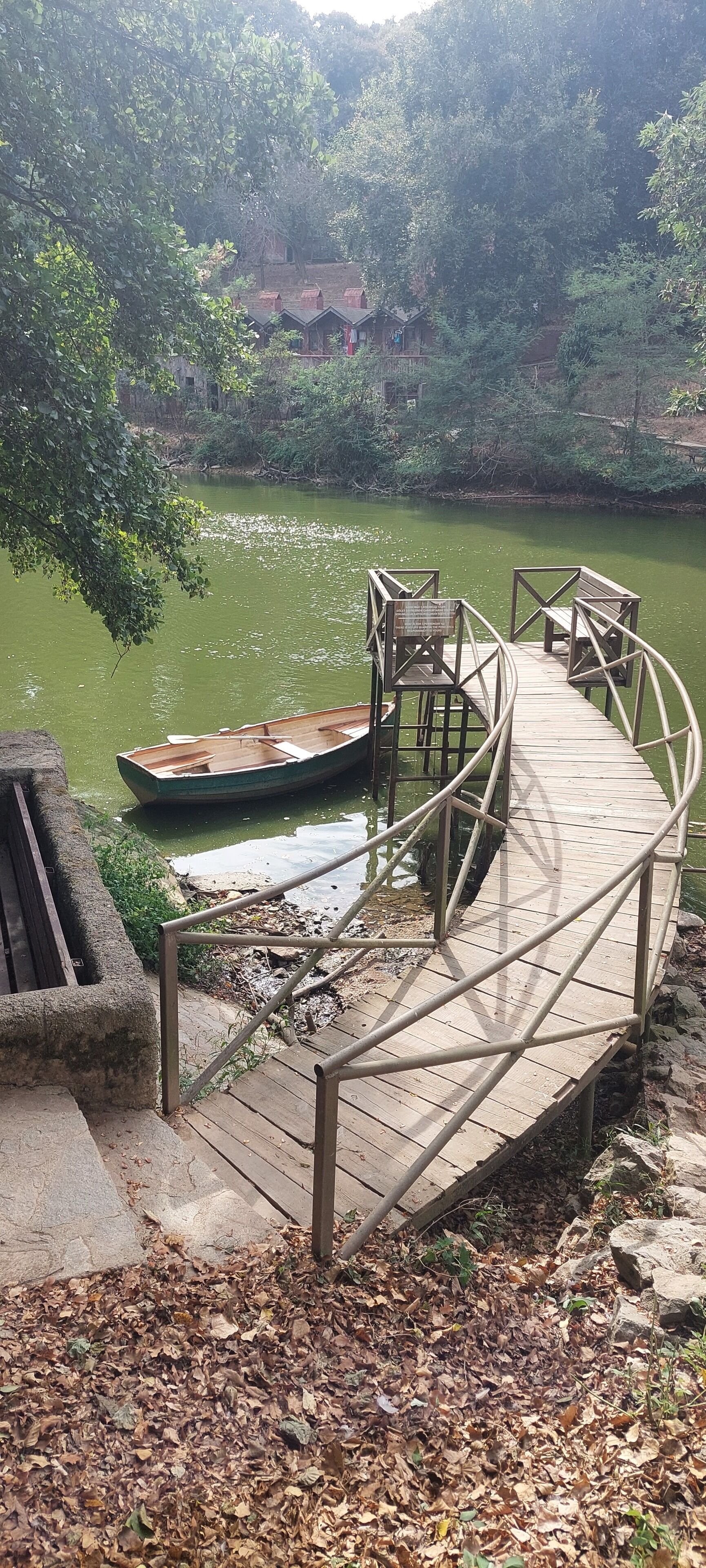 A wooden dock leading to a small boat, surrounded by greenery and a calm body of water.